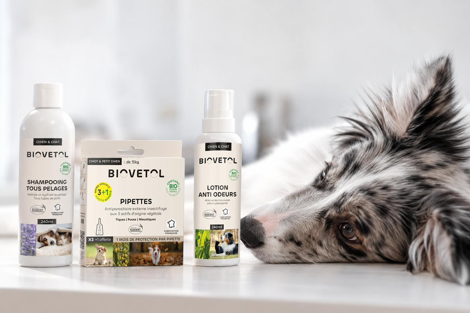 Produits et soins pour chien Biovetol